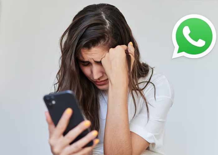 Foto: WhatsApp y la seguridad personal /cortesía