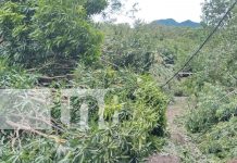 Foto: intensas lluvias durante la madrugada en la Isla de Ometepe/TN8