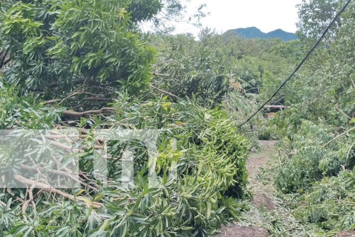 Foto: intensas lluvias durante la madrugada en la Isla de Ometepe/TN8