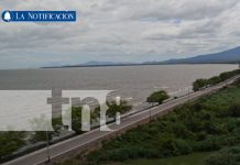 Foto: Nicaragua avanza en cooperación internacional y proyecciones económicas/TN8