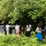 Foto: Jornada de reforestación en la finca Las Uvas, ubicada en El Crucero/TN8