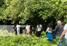 Foto: Jornada de reforestación en la finca Las Uvas, ubicada en El Crucero/TN8