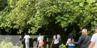 Foto: Jornada de reforestación en la finca Las Uvas, ubicada en El Crucero/TN8