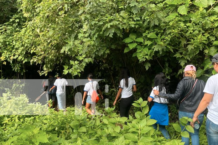 Foto: Jornada de reforestación en la finca Las Uvas, ubicada en El Crucero/TN8