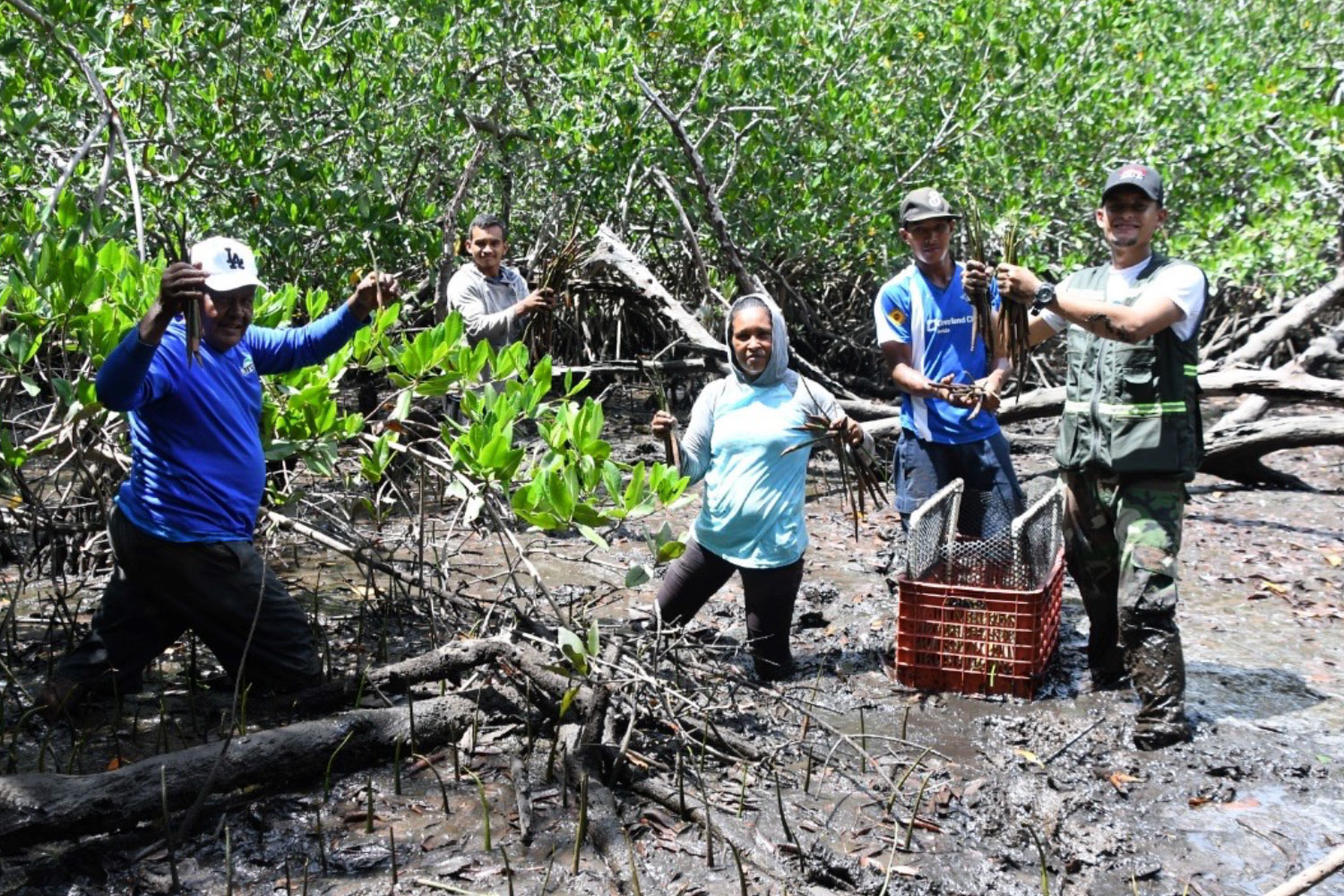 Foto: El Gobierno, a través de MARENA, ha sembrado 111,865 propágulos de mangle/ Cortesía