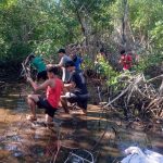 Foto: Restauración de Manglares en Nicaragua: una iniciativa del buen Gobierno/ Cortesía