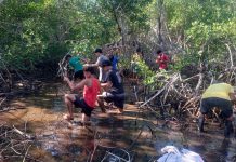 Foto: Restauración de Manglares en Nicaragua: una iniciativa del buen Gobierno/ Cortesía