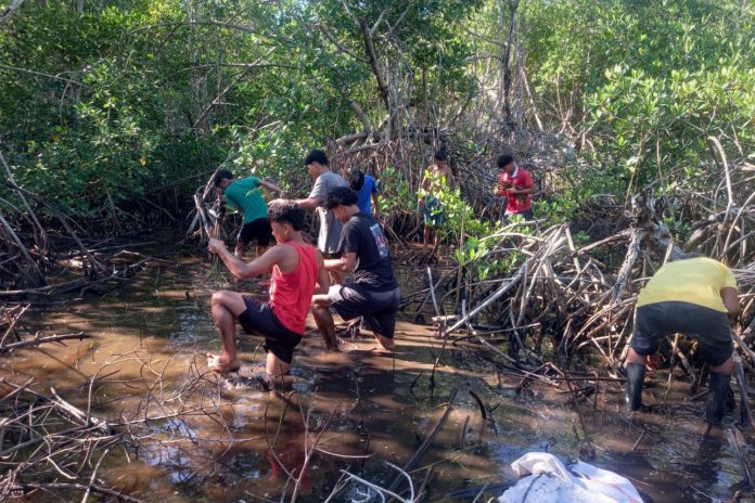 Foto: Restauración de Manglares en Nicaragua: una iniciativa del buen Gobierno/ Cortesía