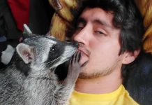 Foto: Conexiones entre humanos y animales no convencionales en redes sociales/ Cortesía