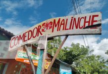 Foto: La hermosa Isla de Ometepe se prepara para la temporada de fin de año con una gran oferta turística imperdible/TN8