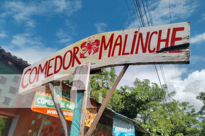 Foto: La hermosa Isla de Ometepe se prepara para la temporada de fin de año con una gran oferta turística imperdible/TN8