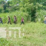 Foto: Centro para prácticas en la Universidad Agraria / TN8