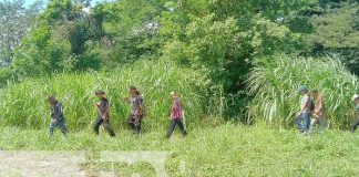 Foto: Centro para prácticas en la Universidad Agraria / TN8