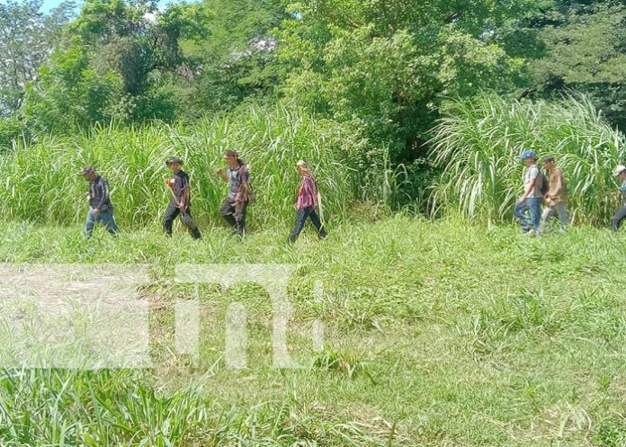 Foto: Centro para prácticas en la Universidad Agraria / TN8