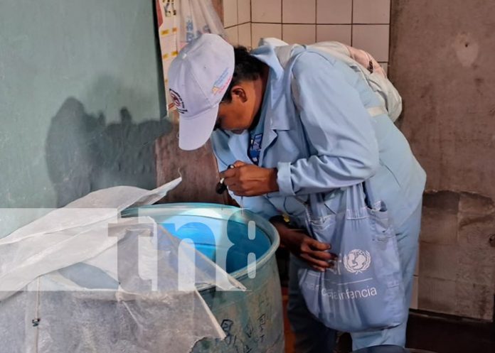 Foto: Abatización y fumigación en Managua / TN8