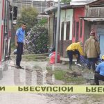 Foto: Abejas atacan en un barrio de Estelí / TN8