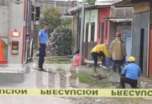 Foto: Abejas atacan en un barrio de Estelí / TN8