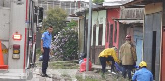 Foto: Abejas atacan en un barrio de Estelí / TN8