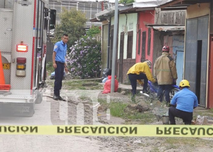 Foto: Abejas atacan en un barrio de Estelí / TN8