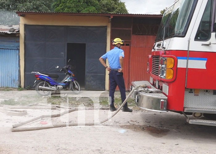 Foto: Abejas atacan en un barrio de Estelí / TN8