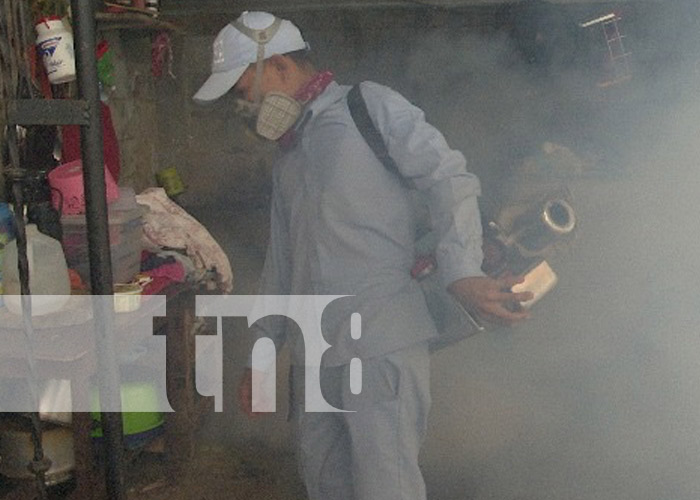 Foto: Eliminación de criaderos de zancudos en Managua / TN8