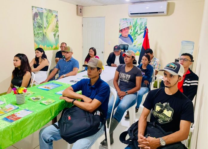 Foto: INTA Realiza Conferencia Virtual sobre Cultivo de Plátano