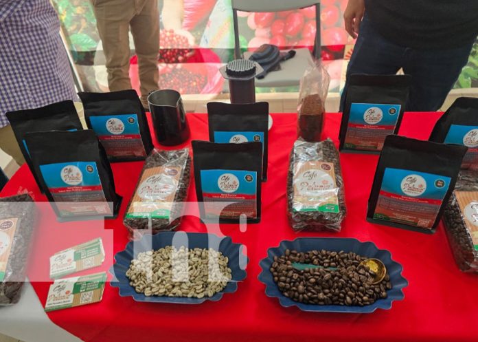 Foto: Primer Congreso Internacional de Café en Nicaragua / TN8