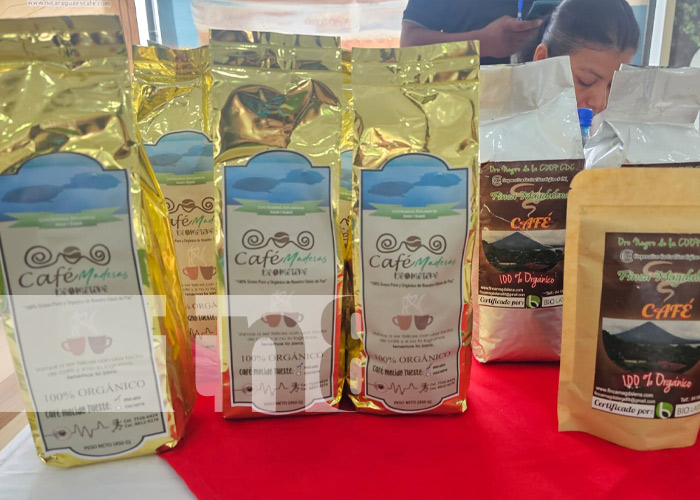 Foto: Primer Congreso Internacional de Café en Nicaragua / TN8