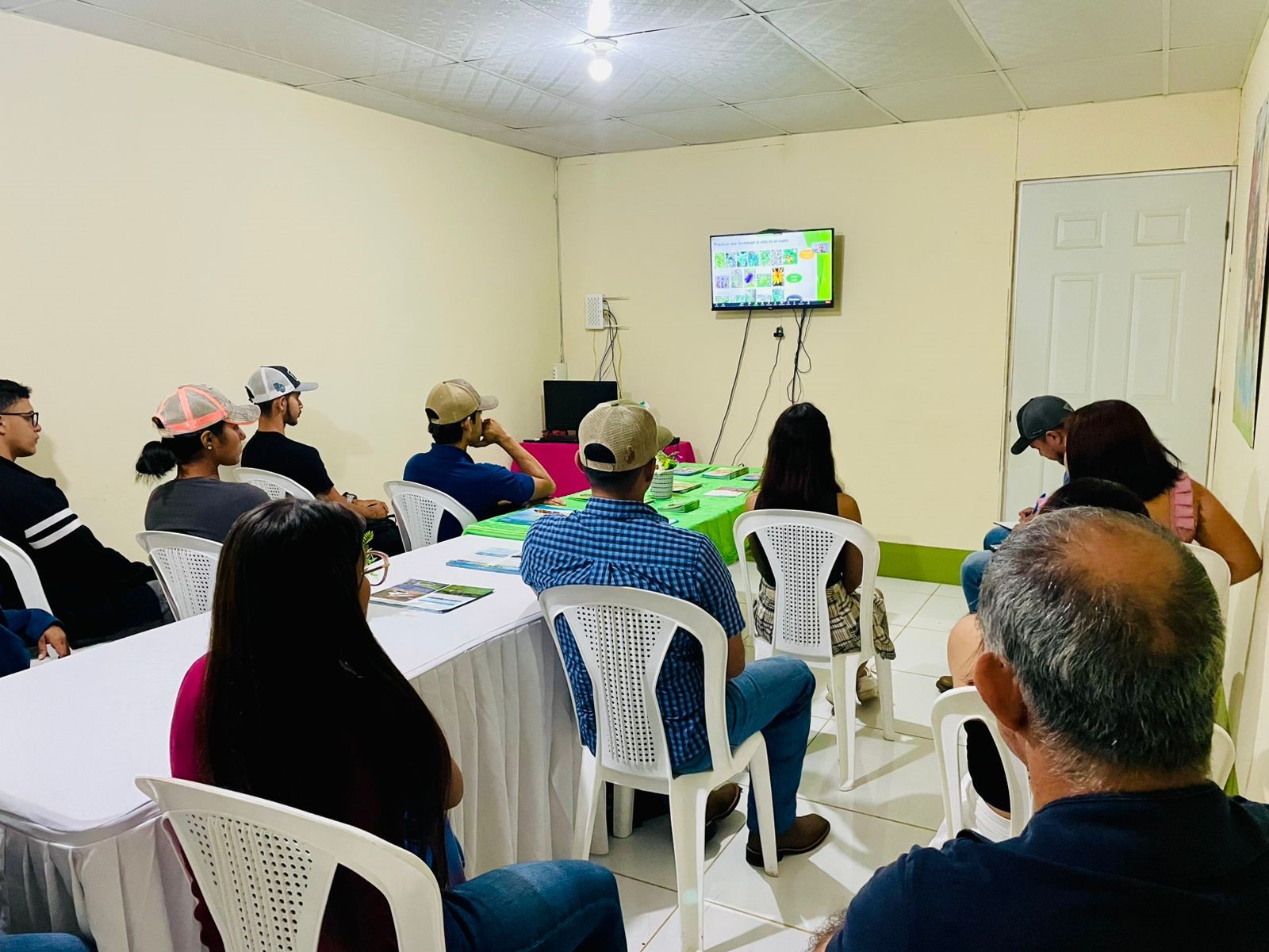 Foto: INTA Realiza Conferencia Virtual sobre Cultivo de Plátano