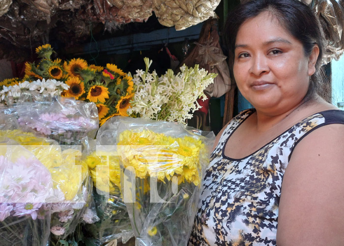 Foto: Comercio de flores en Granada / TN8