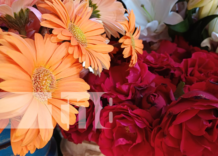 Foto: Comercio de flores en Granada / TN8