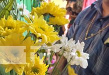 Foto: Comercio de flores en Granada / TN8