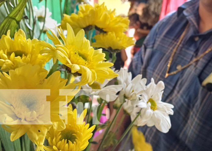 Foto: Comercio de flores en Granada / TN8