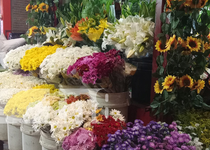 Foto: Flores para los difuntos en los mercados de Managua / TN8