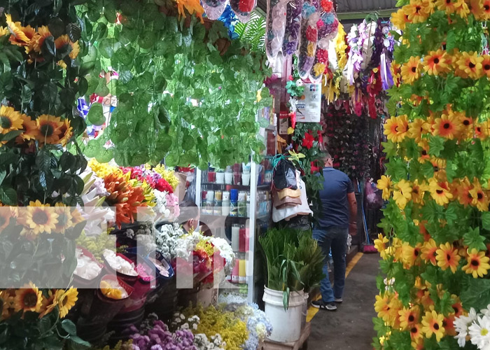 Foto: Flores para los difuntos en los mercados de Managua / TN8