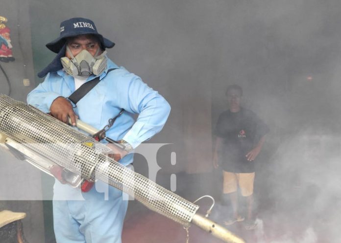 Foto: Fumigación en el Reparto España, Managua / TN8