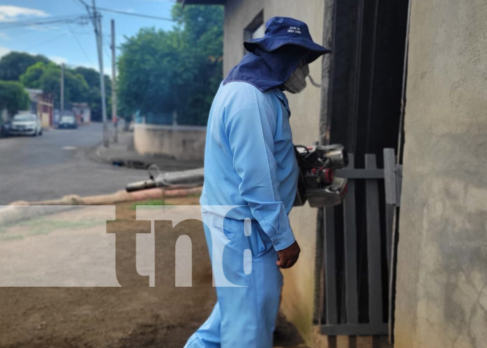 Foto: Fumigación en el Reparto España, Managua / TN8