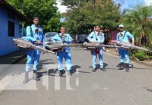 Foto: Fumigación y abatización en Managua / TN8