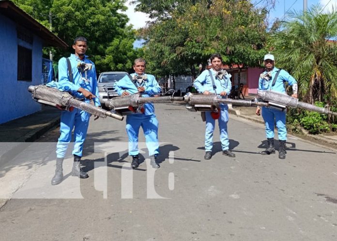 Foto: Fumigación y abatización en Managua / TN8