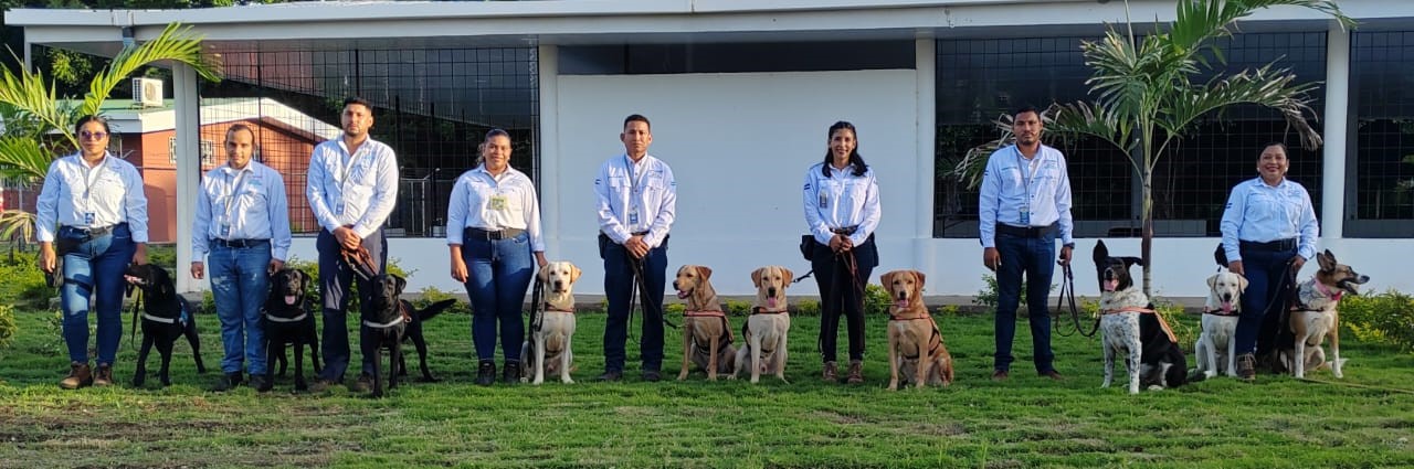 Foto: IPSA Implementa Técnica Canina para Inspección Sanitaria