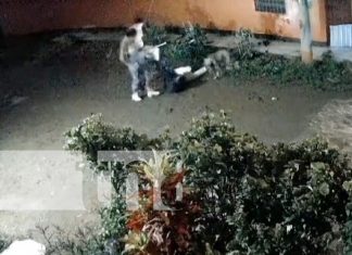 Foto: Fuerte agresión a machetazos para cometer un robo a un joven en un barrio de la ciudad de Estelí / TN8