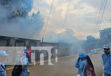 Foto: Fumigación en el barrio Hialeah, Managua / TN8