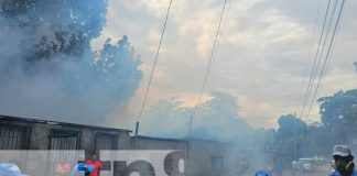 Foto: Fumigación en el barrio Hialeah, Managua / TN8