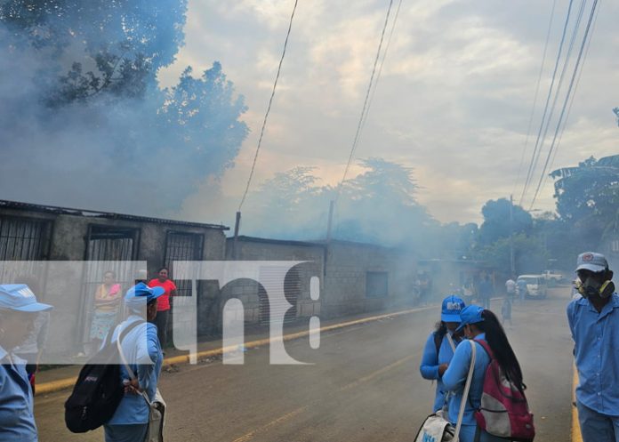 Foto: Fumigación en el barrio Hialeah, Managua / TN8