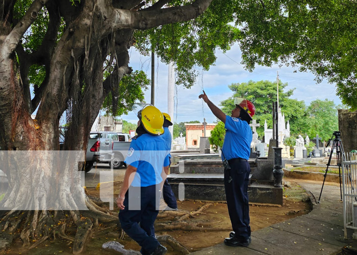 Foto: Inspección en los cementerios de Managua / TN8