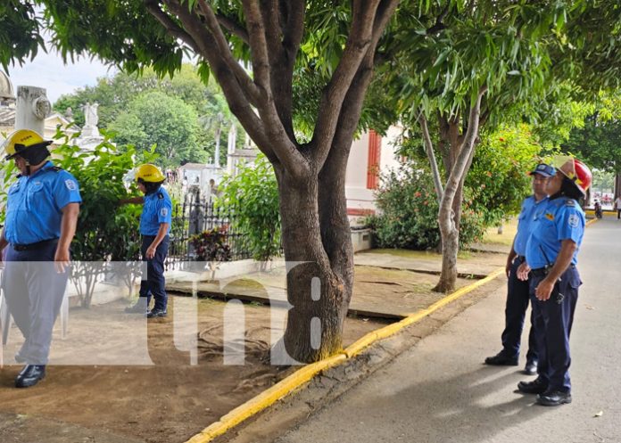 Foto: Inspección en los cementerios de Managua / TN8