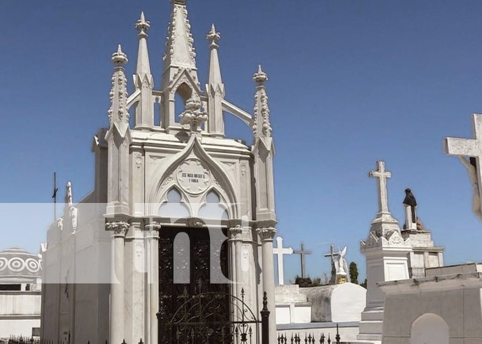 Foto: Limpieza y seguridad en el cementerio de Granada / TN8