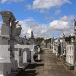 Foto: Limpieza y seguridad en el cementerio de Granada / TN8