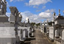 Foto: Limpieza y seguridad en el cementerio de Granada / TN8