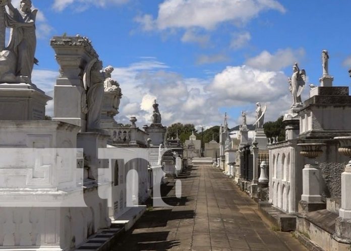 Foto: Limpieza y seguridad en el cementerio de Granada / TN8